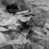 Ephemera-iii-2008_-72x72