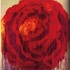 20120415145515-roses