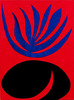 20120415171658-zarvin