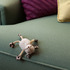 20120415184727-jmay_01