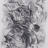 20120416205301-seashapes