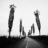 20120416230042-hj_limaparkway_2010