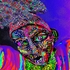 20120416234352-spidercrawl_001
