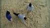 20120417004413-04__41612