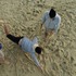 20120417004413-04__41612