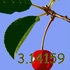 20120417005817-cherrysinglebrush8withpi