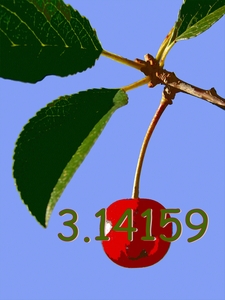 20120417005817-cherrysinglebrush8withpi
