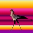 20120417013418-crossroaducsd_bak