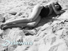 20120417031727-delawarephototitle