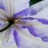 20120417042656-dsc_0690