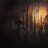 20120417094214-ohn_titel_clearcut_web