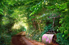 20120417104418-_51_-roller