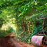 20120417104418-_51_-roller