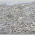 20120417112315-sean_gall-4