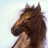 20120417121856-horse