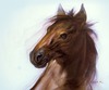 20120417121856-horse
