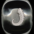 20120418115259-siren_larva