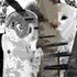20120417163700-facedrawingbrush8withowlandstairsandhalfemerge