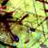 20120417171841-marcosarmitaje_laselva44x33_1900