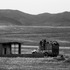 20120417222143-pictures_of_reslience_2001_-_2011_8