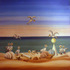20120417224917-1birds-on-the-beach-6000