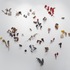 20120418014313-wall_installation