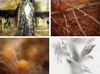 20120418023914-kreaturen_englisch