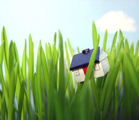 The Lawn,Lisa Dahl