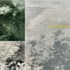 20120418055832-11_sept_3