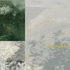 20120418060206-11_sept_4