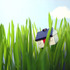 20120418060606-dahl_lawn_still