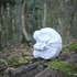 20120418104553-current_show_think_print