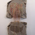 20120418134714-la_ruta