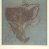 20120418140800-0_27drugtraffik