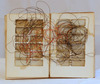 20120418161549-2012-alteredbook_324x272