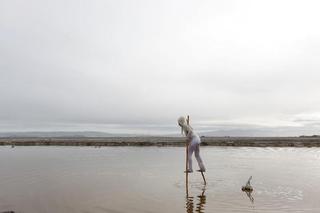 ,Camilla Newhagen