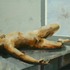 20120418185908-2011_working_man_azgour