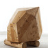 20120419185538-hominid_2012