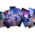 20120419203305-jones_dogdogdog