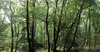 20120420011815-sailstorfer_titel2