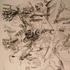 20120722023204-amazon_corset_2_adjust_closeup