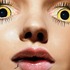 20120420065610-contemporary-women-beastliness