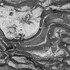 20120421041429-abstract