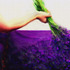20120421051744-lavenderintuscany_lg