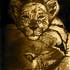 20120421063417-lioness_and_her_cub_rest