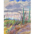 Wc_1_southwestern_view