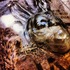 20120421173855-img_3702