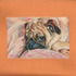 20120422214307-sophee_the_pug