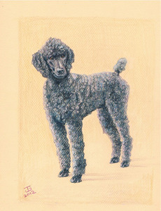 20120422214420-dolce