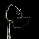 20120422215812-_300dpi_insect